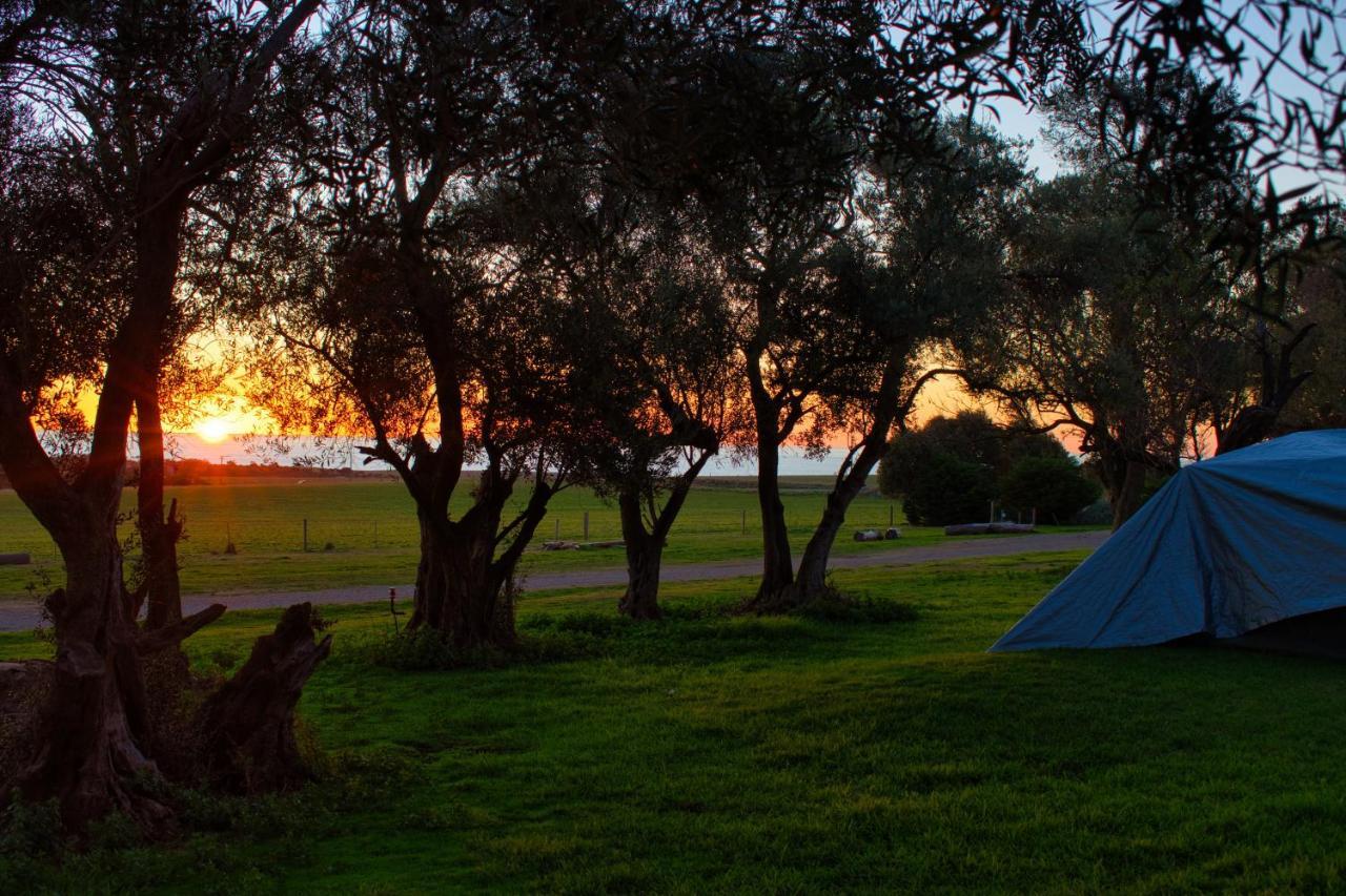 Big4 Cape Jervis Accommodation & Caravan Park Exterior foto